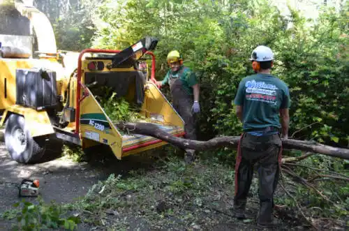 tree services Bowersville